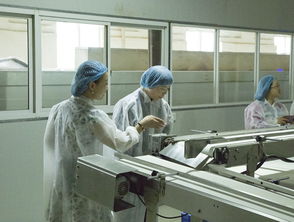 政企同心促發展，婦聯關懷暖企心——熱烈歡迎市鎮婦聯領導蒞臨華爾食品調研指導