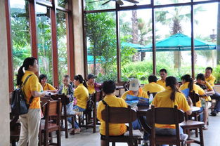 珠海麥田咖啡 以精細化管理深耕餐飲藍海，創新驅動品牌發展